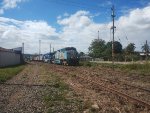 RUMO 9819